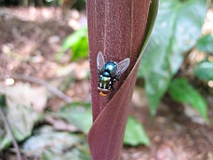 022 Jardin Botanique